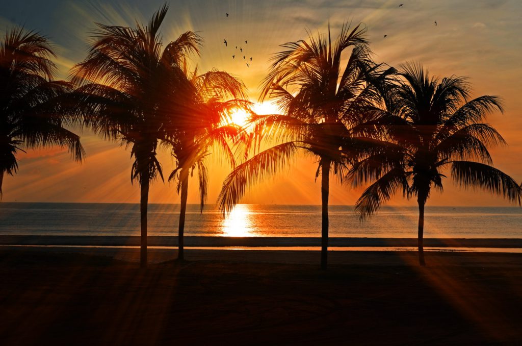 Beach at sunset