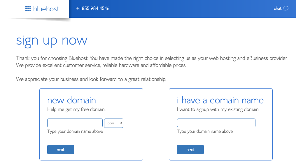 BlueHost choose domain name